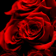 Load image into Gallery viewer, Magnetism Spell (Alluring and Magnetic Aura)